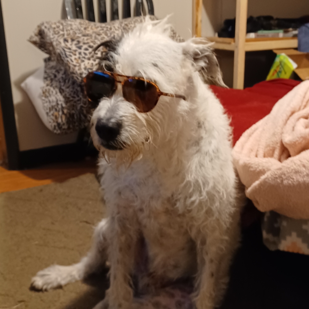 Meet your Posher, Matthew